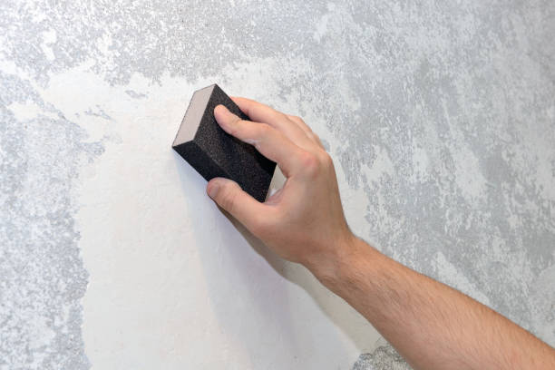 Best Black Mold Removal  in Oyster Bay Cove, NY