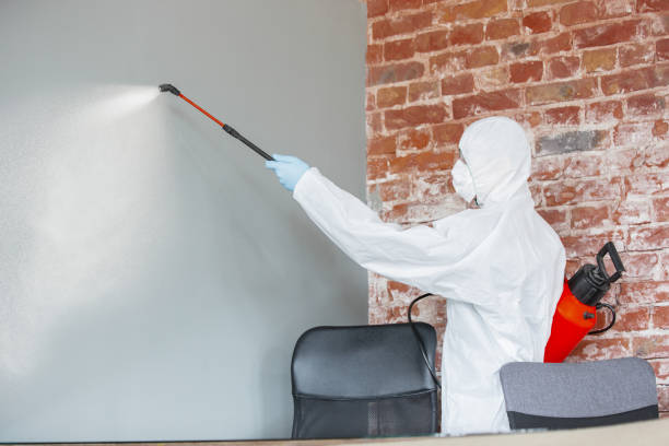  Oyster Bay Cove, NY Mold Removal Pros