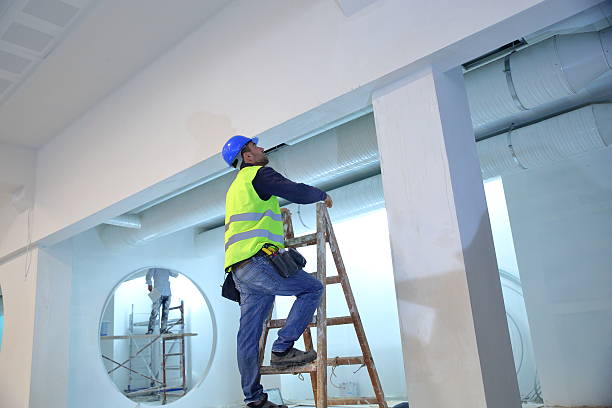 Best Mold Documentation for Insurance Claims  in Oyster Bay Cove, NY